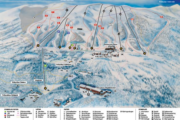 Alpin skidåkning