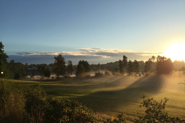 Vår helt fantastiska natur med hav, skogar och ängar.