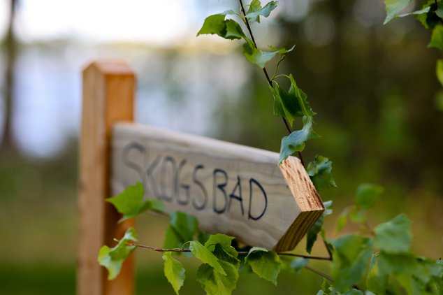 Vandring med Skogsbad
